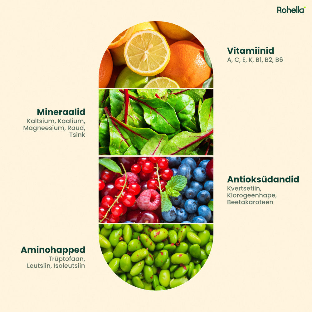 Rohella Moringa – Toeta Oma Tasakaalu