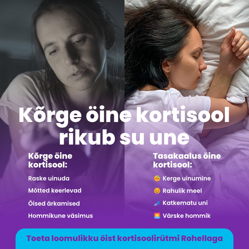 Rohella Sleep Kummikommid